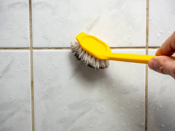 Best Mold Testing and Removal  in Hightstown, NJ
