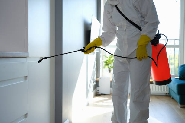 Best Home Mold Removal  in Hightstown, NJ