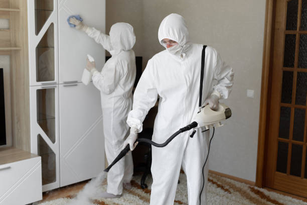 Best Professional Mold Removal  in Hightstown, NJ