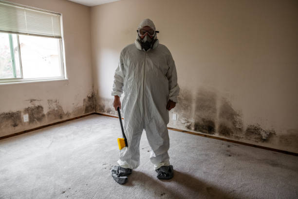 Best Office Mold Removal Services  in Hightstown, NJ