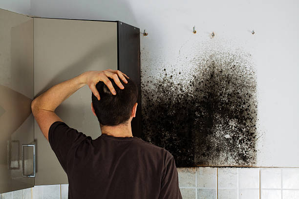 Best Residential Mold Removal  in Hightstown, NJ